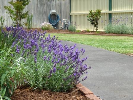 Macro_Gardens_Front_Page