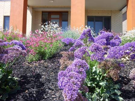 Macro_Gardens_Front_Page_B